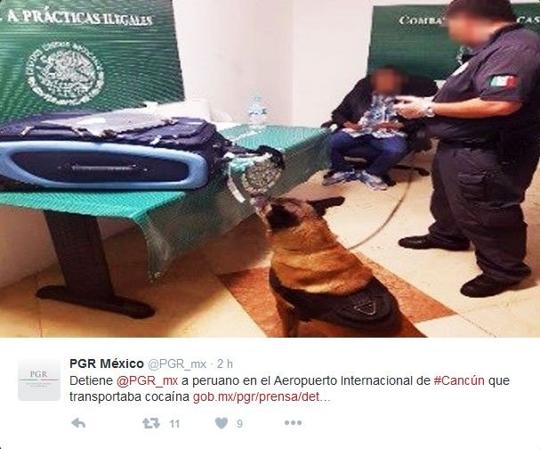 PGR detiene a peruano por transportar cocaína - Screenshot_3-6