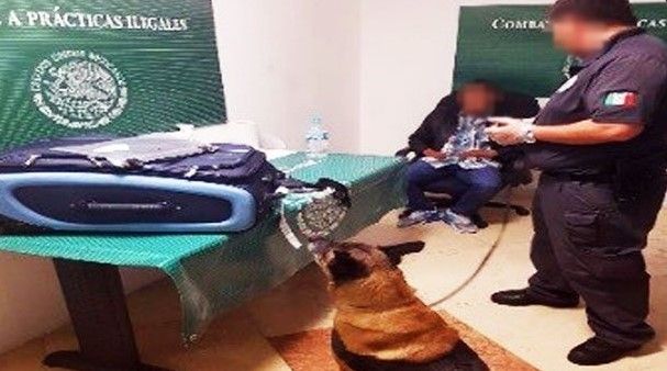 PGR detiene a peruano por transportar cocaína