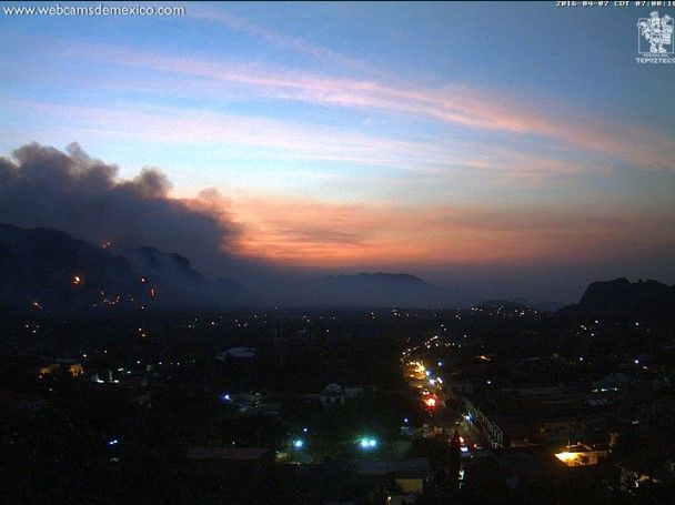 Incendio consumó 244 hectáreas del Tepozteco: Conafor