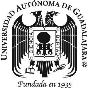 Estudiantes de la UAG diseñan juguetes para discapacitados visuales - UAG-Foto-de-Internet-300x300
