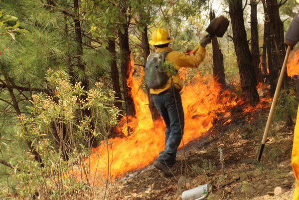 Controlan incendio en Uruapan