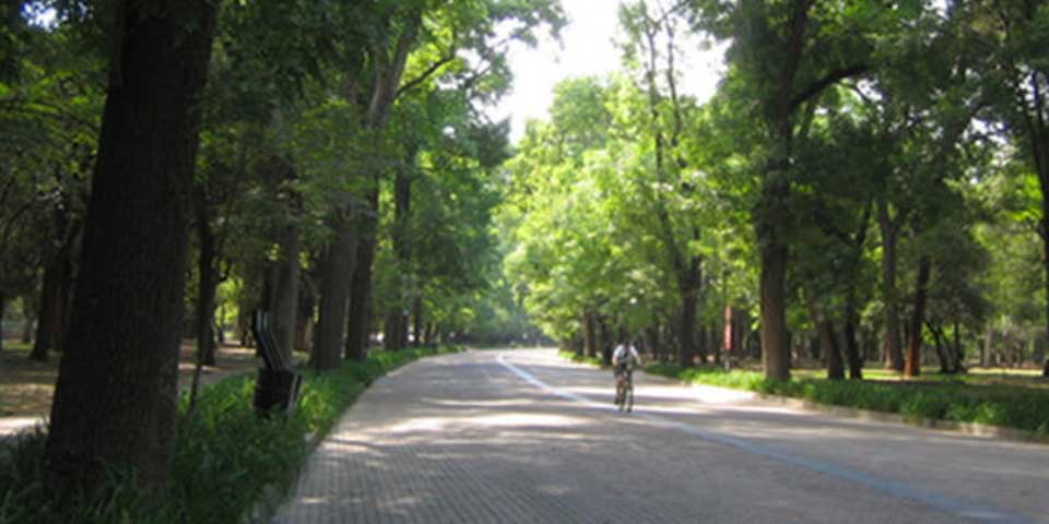 Bosques de Chapultepec, Aragón y Tlalpan extienden horarios