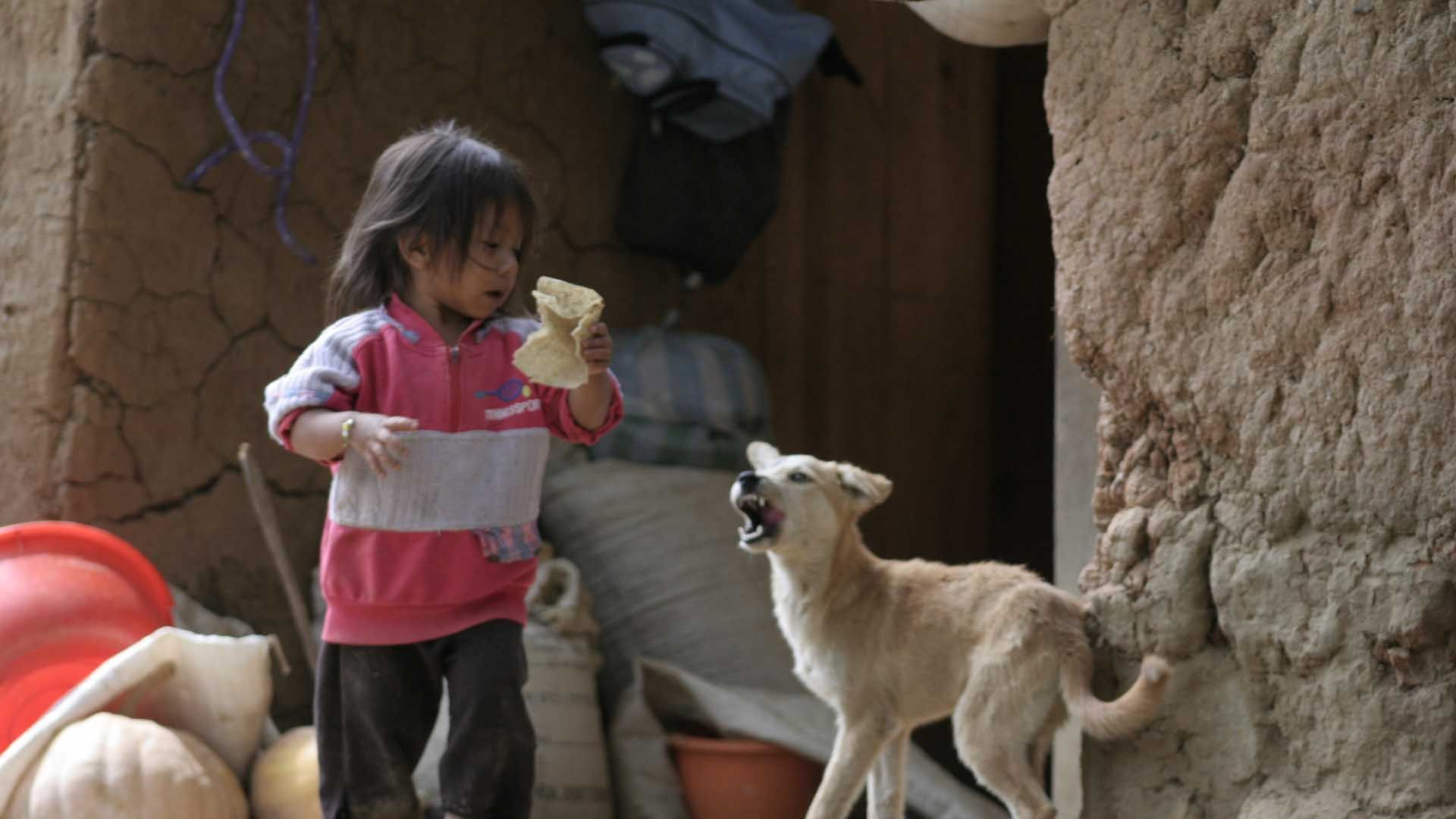 Se redoblarán esfuerzos para superar carencias alimentarias: SEDESOL
