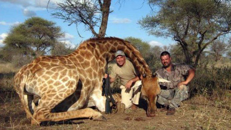 Critican a Hristo Stoichkov por fotos con animales muertos - hristo-stoichkov-jirafa