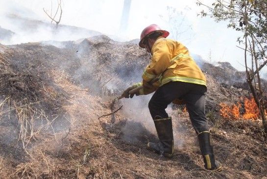 Incendio en Uruapan devasta al menos 100 hectáreas - incendio-uruapan-Conafor