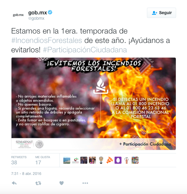 Nueve de cada diez incendios forestales son causados por seres humanos: SEGOB - incendios-forestales