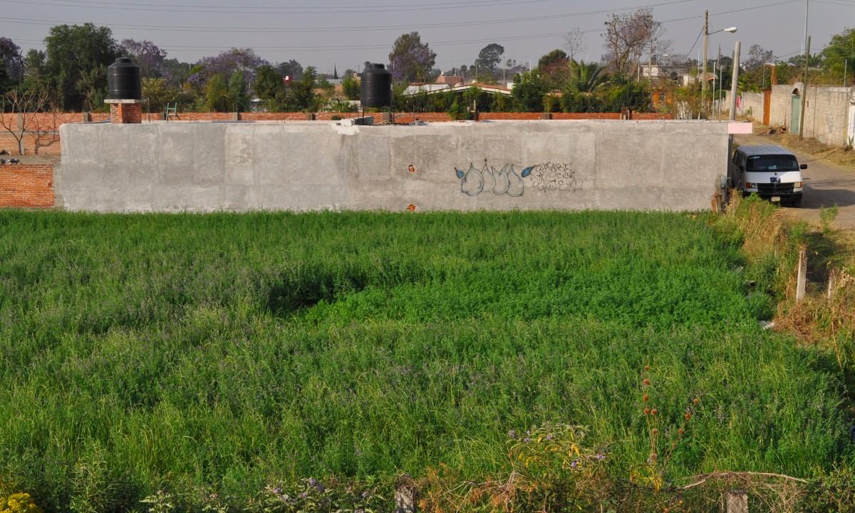 Recomendaciones para evitar fraudes inmobiliarios - inmueble-Alternativo