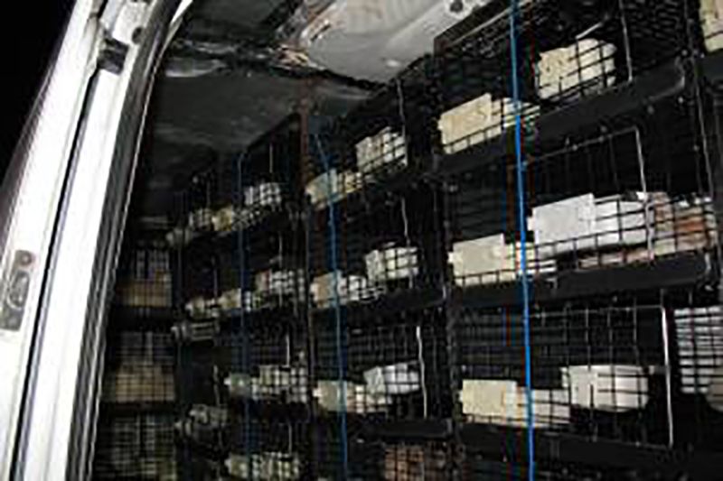 Encuentran 67 cachorros en camioneta detrás de tienda de mascotas - jaulas-cachorros-1