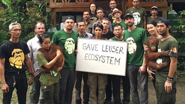 Indonesia podría vetar a DiCaprio por denuncia sobre bosques - leonardo-di-caprio-indonesia-1