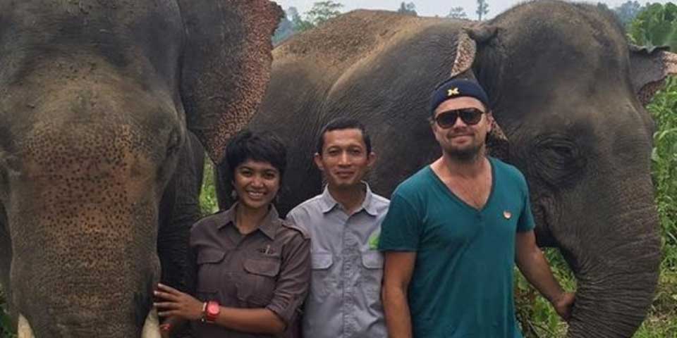 Indonesia podría vetar a DiCaprio por denuncia sobre bosques