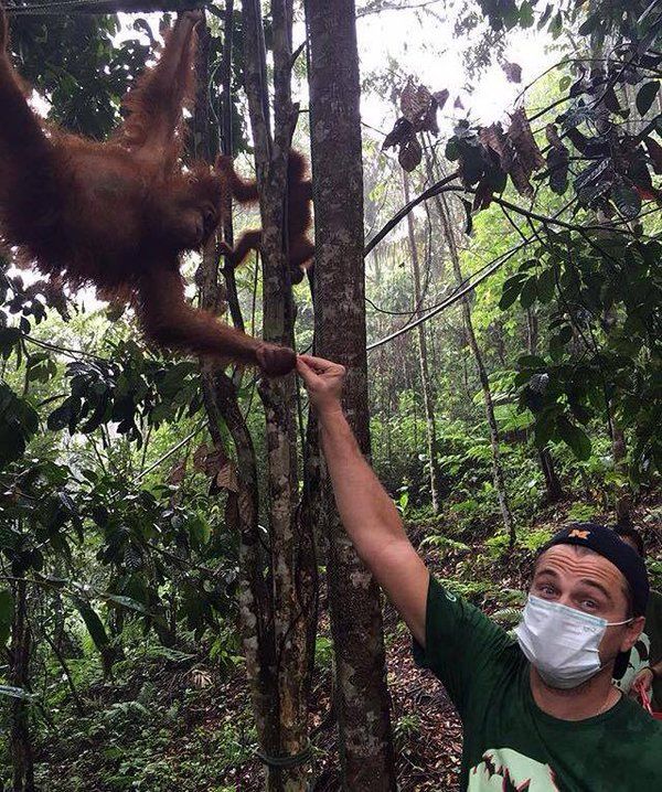 Indonesia podría vetar a DiCaprio por denuncia sobre bosques - leonardo-dicaprio-indonesia-2