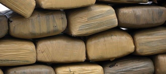 Asegura Policía Federal más de 500 kilos de mariguana en Baja California