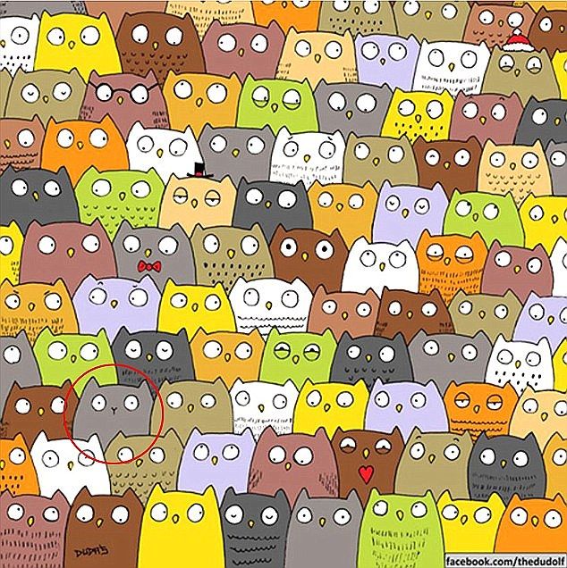 Acertijos para desafiar a la mente - puzzle-daily-mail-12