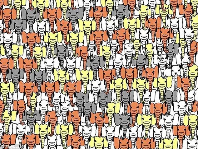 Acertijos para desafiar a la mente - puzzle-daily-mail-5