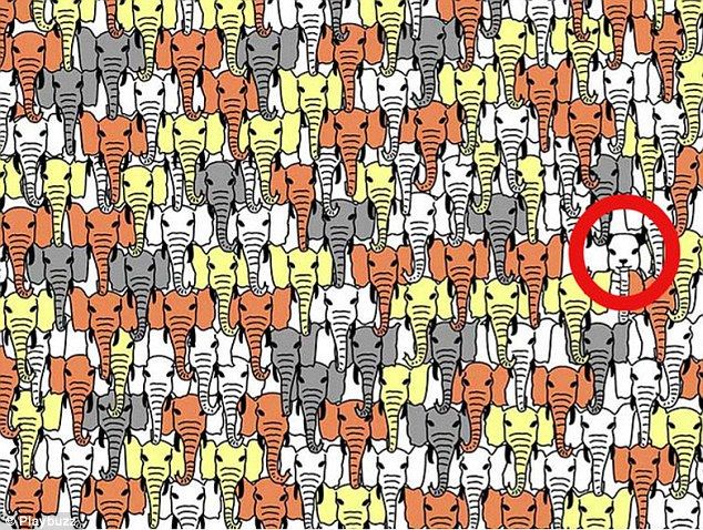 Acertijos para desafiar a la mente - puzzle-daily-mail-6