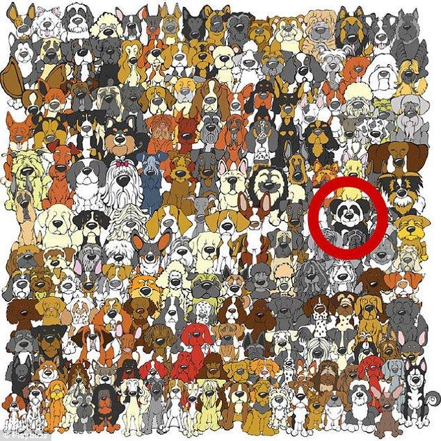 Acertijos para desafiar a la mente - puzzle-daily-mail-8