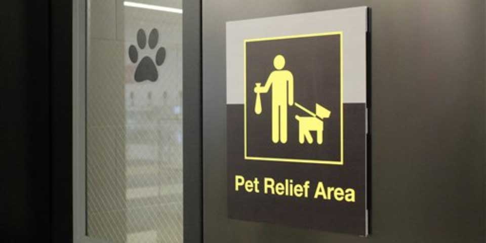 Aeropuerto JFK de Nueva York estrena sanitario para mascotas Aeropuerto JFK de Nueva York estrena sanitario para mascotas