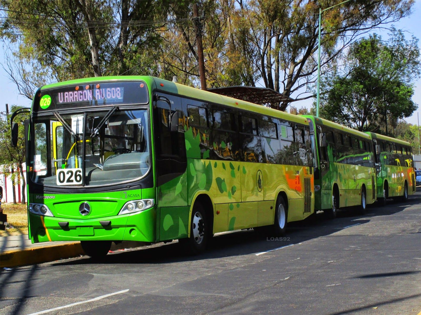Choferes de transporte público deberán tener cinco años de experiencia: Semovi - transporte-público-al-momento