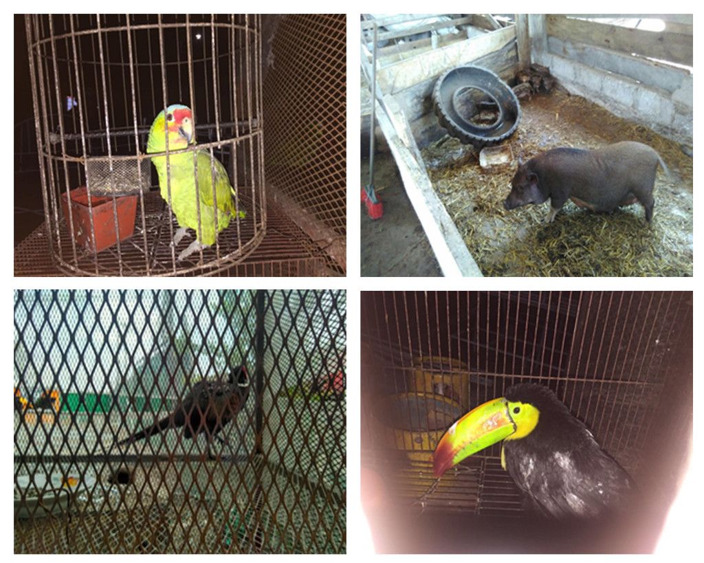 PGR asegura 60 mil litros de gas LP y detiene a siete personas en Veracruz - unnamed-1-2-1024x819