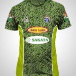 Equipo español de futbol muestra los músculos en uniforme - 14060377464538-150x150