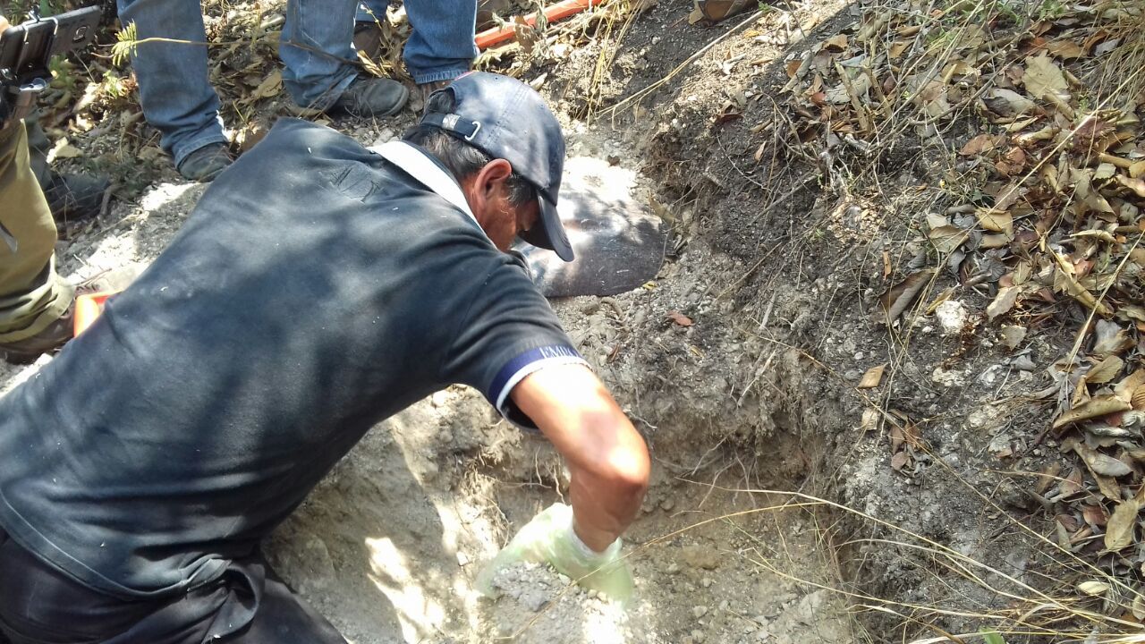 Encuentran fosas con tres cuerpos en Chilapa, Guerrero - 193bcadf-fcdd-48dd-8ea2-c8412051963e