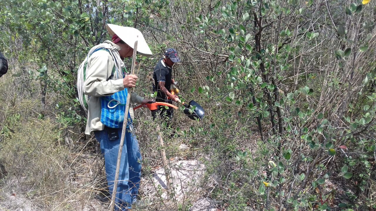 Encuentran fosas con tres cuerpos en Chilapa, Guerrero