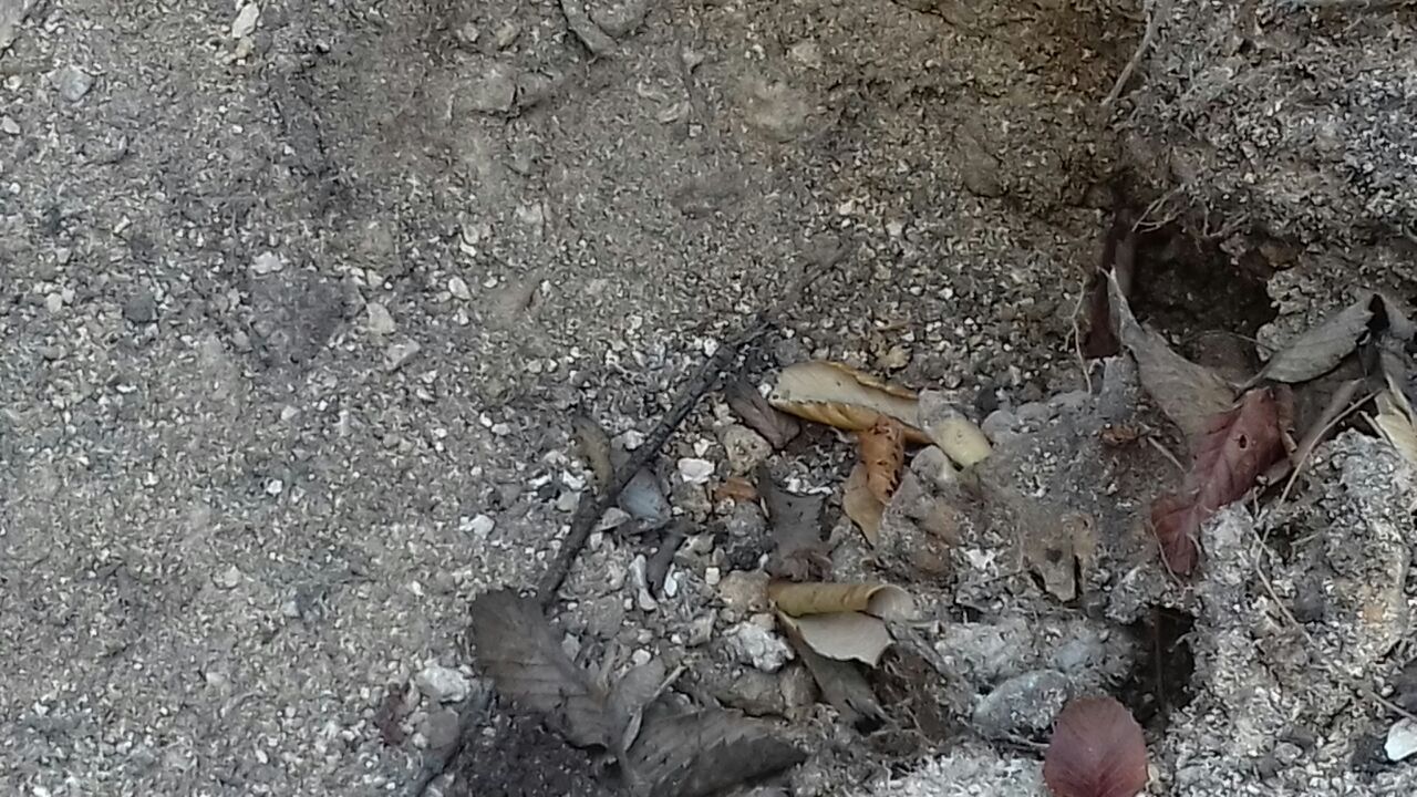 Encuentran fosas con tres cuerpos en Chilapa, Guerrero - 46c1fdf8-8d57-4753-8f5b-ac23d1217fde