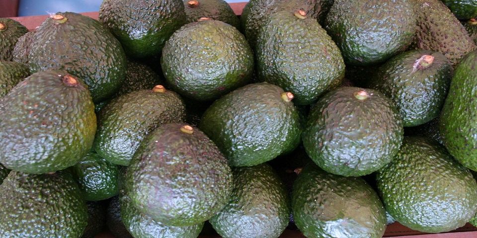 Aguacate, producto con mayor alza en su precio Aguacate, producto con mayor alza en su precio