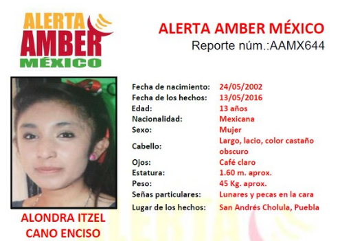 Desaparece niña en Puebla