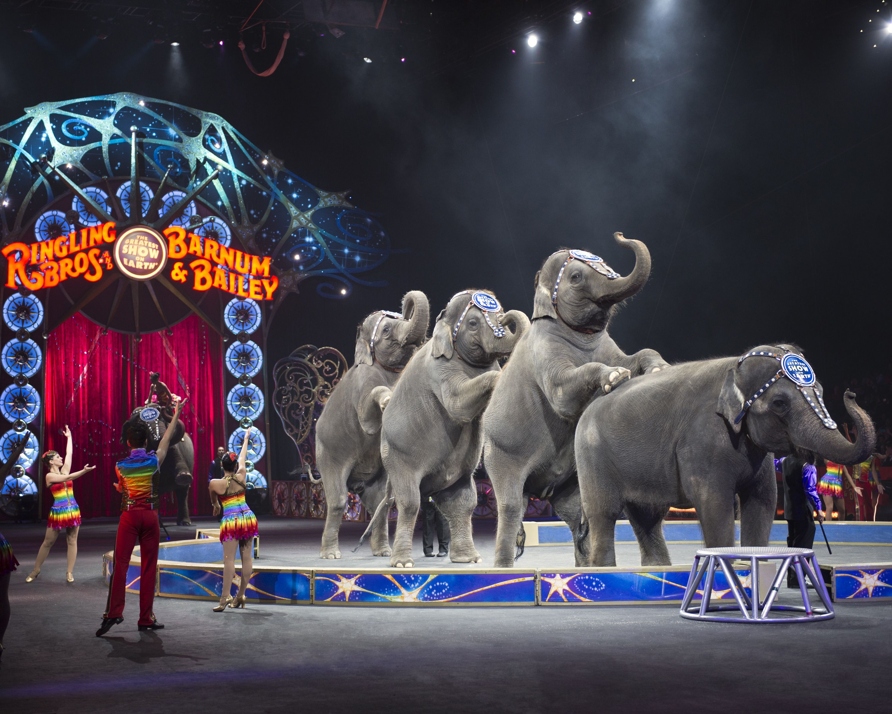 Circo Ringling Bros. despide a elefantes del escenario - Circo-Foto-de-Internet