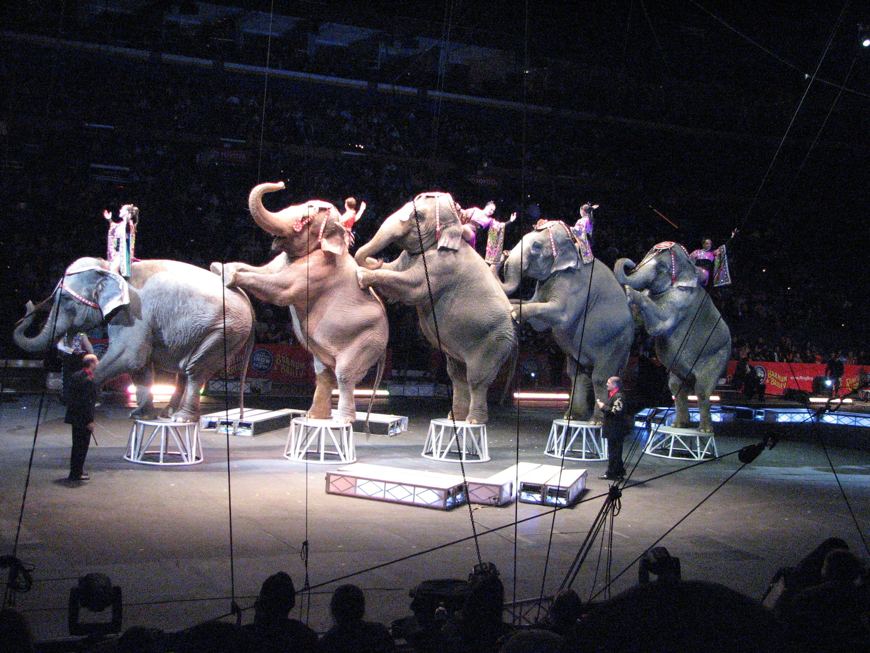 Circo Ringling Bros. despide a elefantes del escenario - Circo-rev-Fm-
