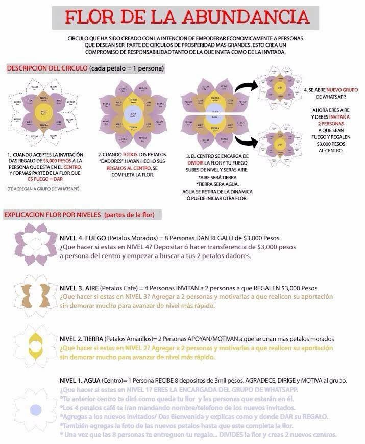 Advierten por fraude en WhatsApp - FLOR2