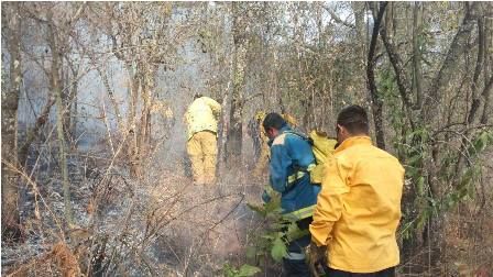 Se reaviva incendio en cerro de Morelia - Incendio-Cerro-del-Águila-Internet