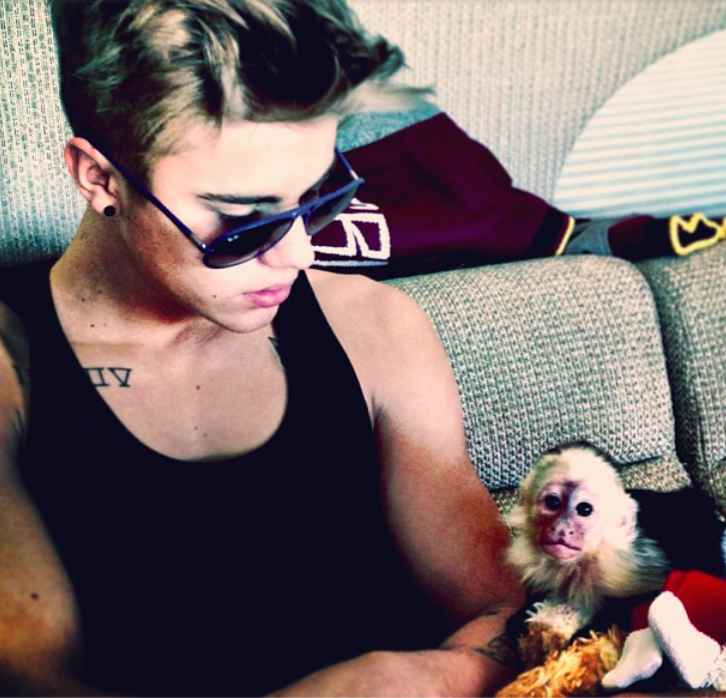 PETA reprende a Justin Bieber por fotografiarse con un tigre - Justin-Instagram
