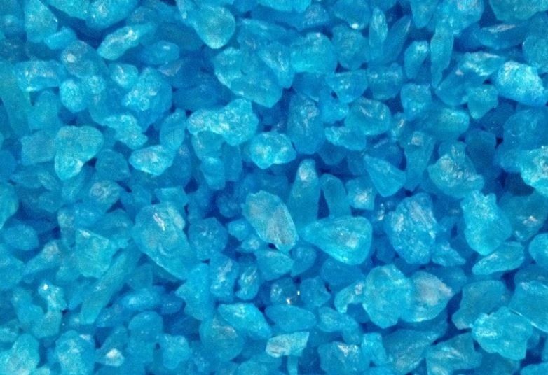 Policía realiza antidoping a mascota y resulta positivo - Metanfetamina