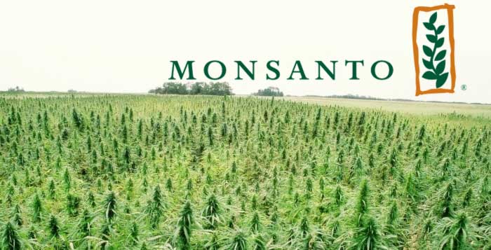 Bayer lanza oferta para comprar a Monsanto por 62 mil mdd - Monsanto