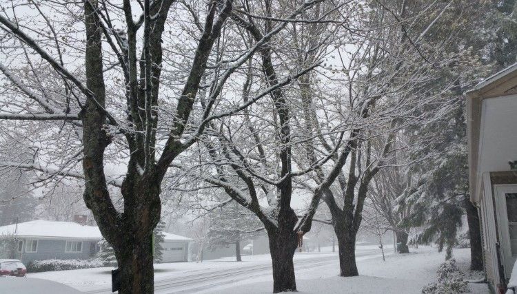 Video: nieva en primavera en el noreste de EE.UU.