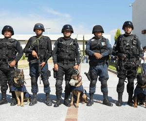 Dos perros policía en desnutrición por alimento barato en Silao