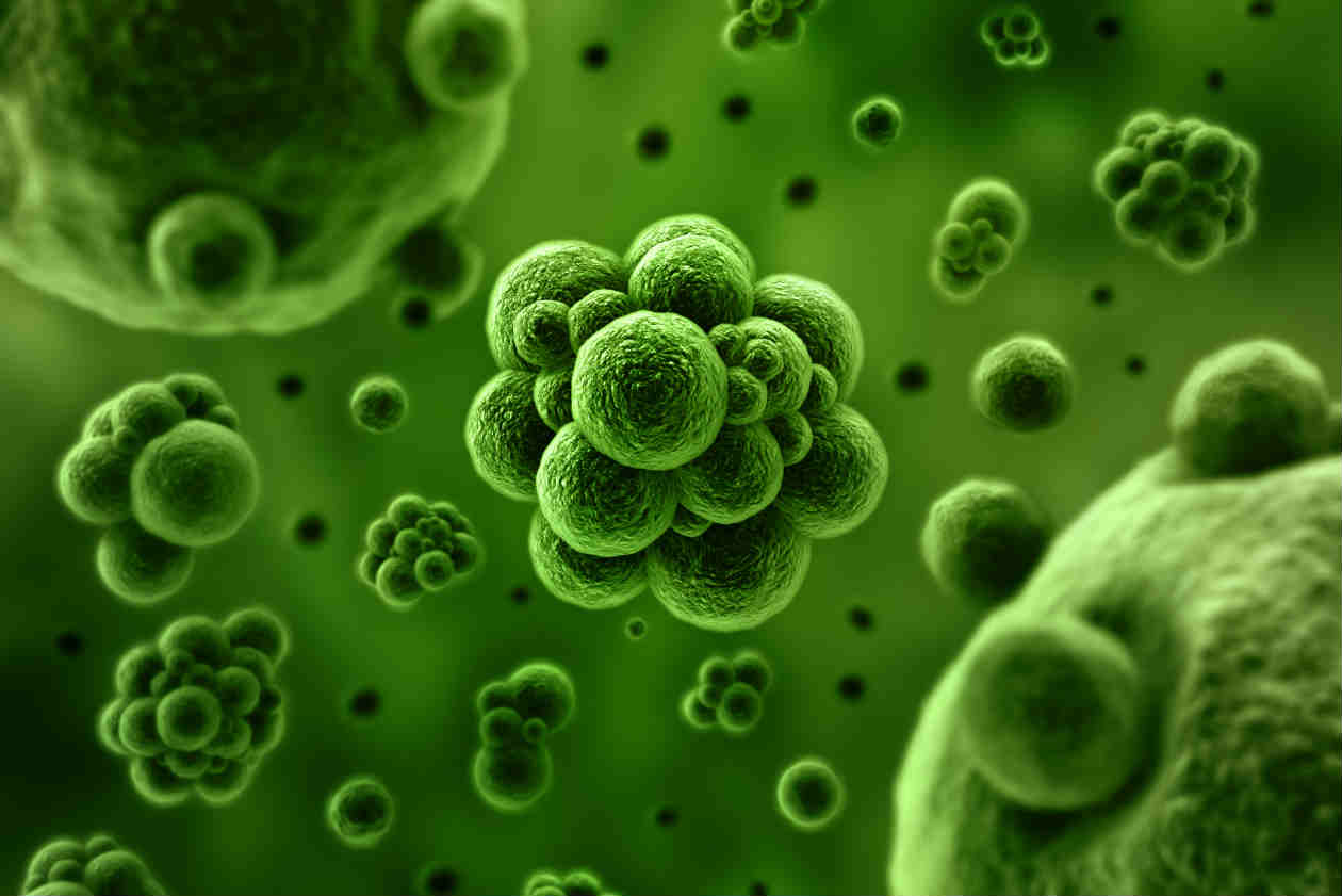 Objetos que casi nunca limpiamos y tienen millones de bacterias Objetos que casi nunca limpiamos y tienen millones de bacterias