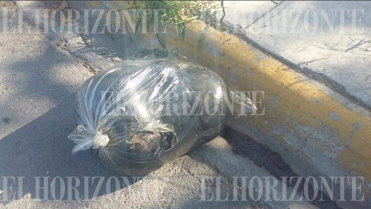 Encuentran cuatro cabezas de animales en San Nicolás, pensaban que eran humanas - bolsa-cabezas-san-nicolas-El-Horizonte