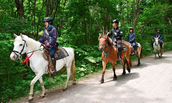 Padres abandonan a niño como castigo y desaparece en el bosque - bosque-japon-1