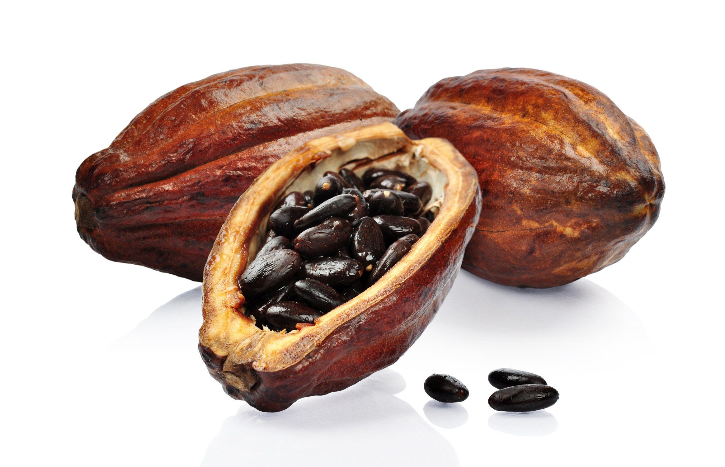 Beneficios del cacao para nuestro cuerpo - cacao-Taringa-