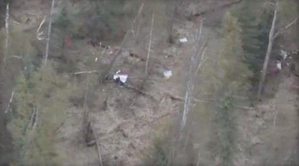 Choque de avión pequeño con águila deja cuatro muertos en Alaska - choque-anchorage-avioneta-aguila