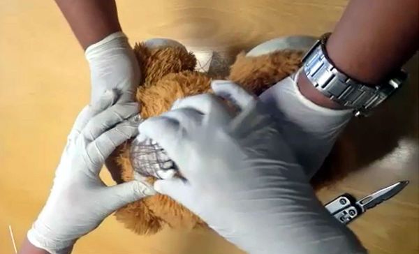 Policía Federal asegura 1.4 kilogramos de cocaína en el AICM - coca-oso-Scoopnest