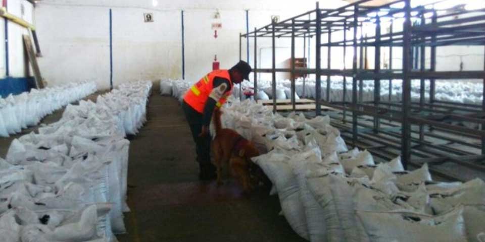 Aseguran 3.7 toneladas de cocaína en Venezuela relacionadas con Los Zetas