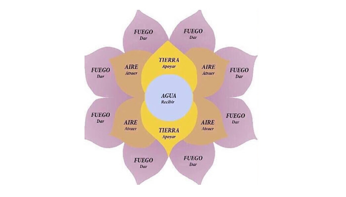 Advierten por fraude en WhatsApp - flor-de-la-abundancia