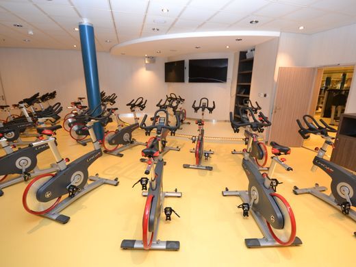 Galería: el interior del crucero más grande del mundo - harmony-15