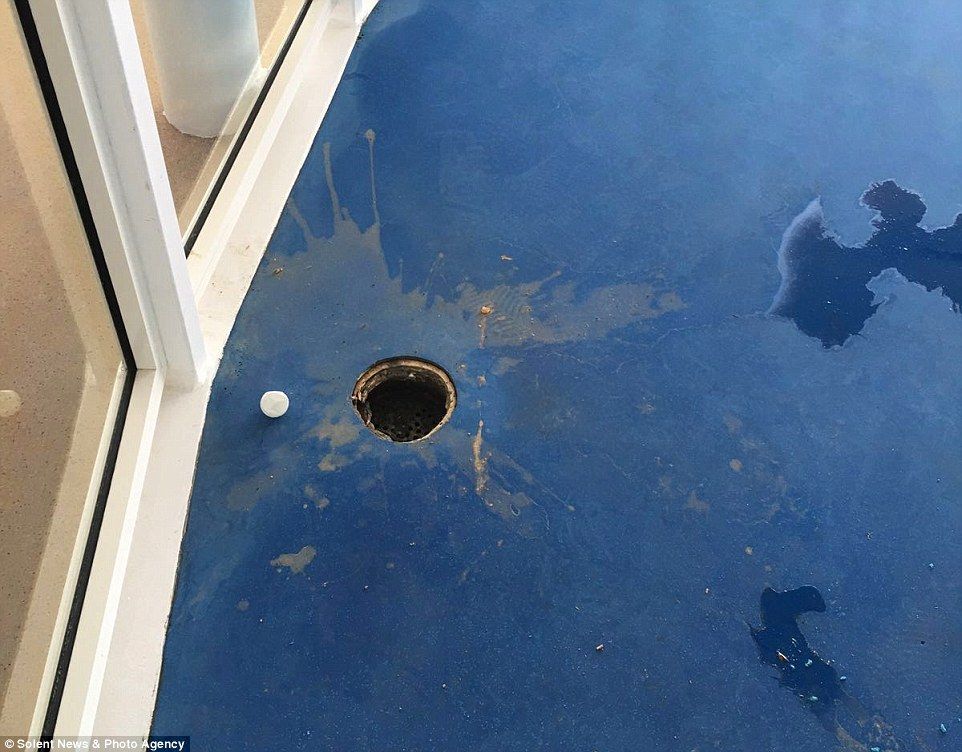 Pasajeros se quejan tras primer viaje del crucero más grande del mundo - harmony-of-the-seas-4