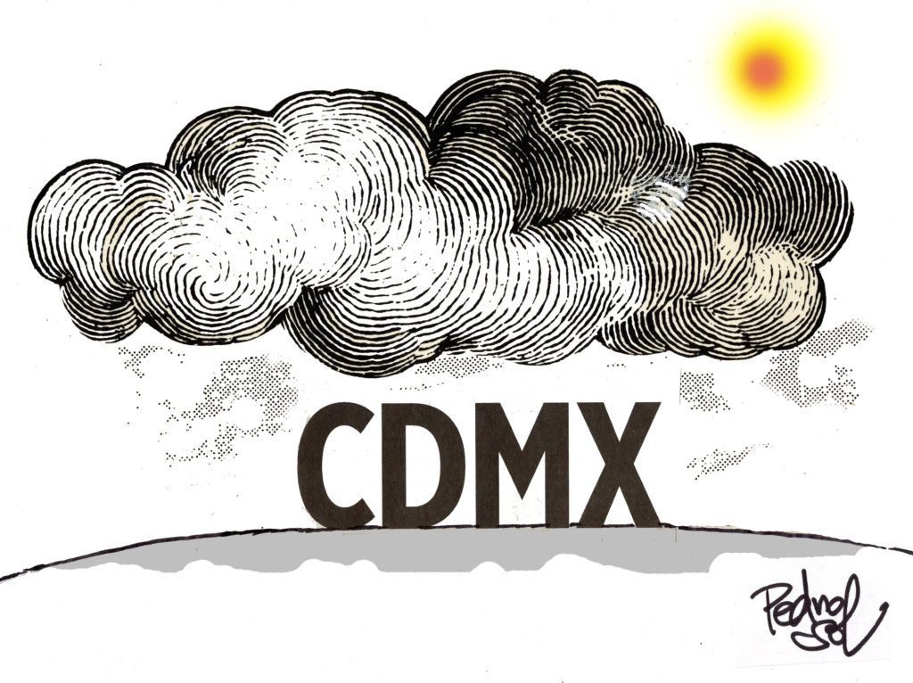 ¿No será el copete de Trump? - img489-1024x766