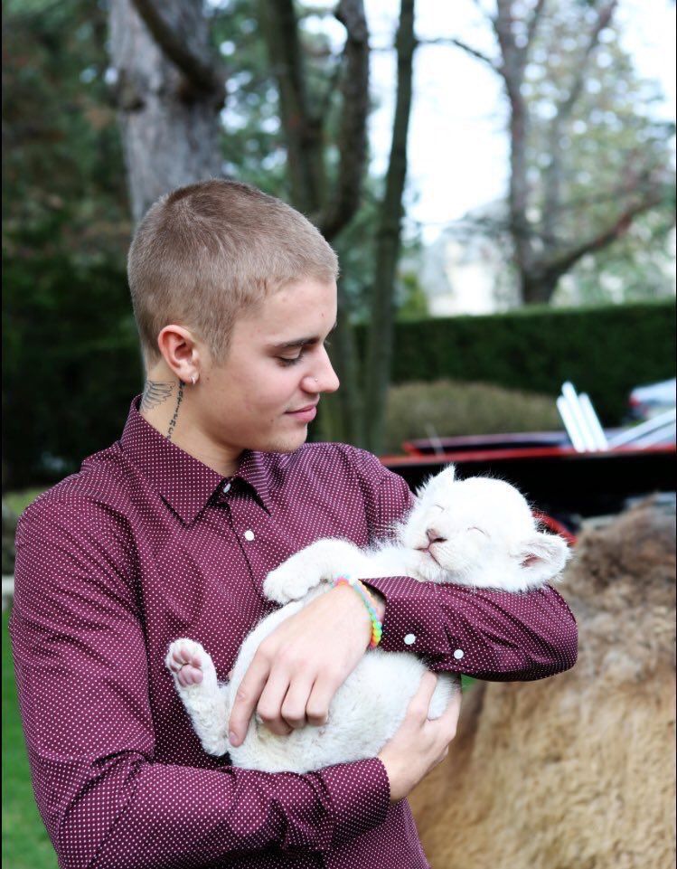 PETA reprende a Justin Bieber por fotografiarse con un tigre - justin-3